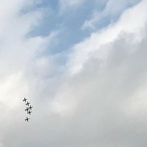 Meet your Posher, Cyle