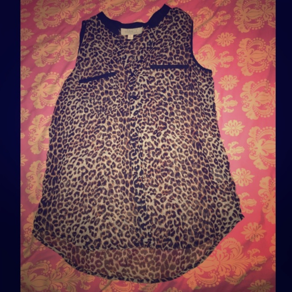 Sheer Cheetah Print Blouse