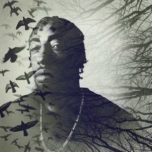 Meet your Posher, Jeffery