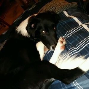 Meet your Posher, Mickala