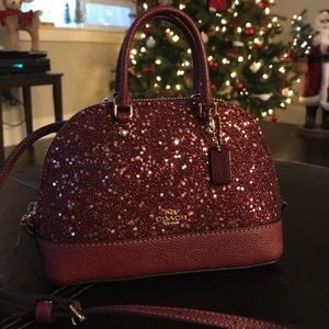 Coach Glitter Mini Sierra