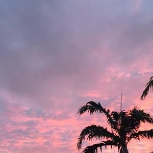 Meet your Posher, Jinhyuk