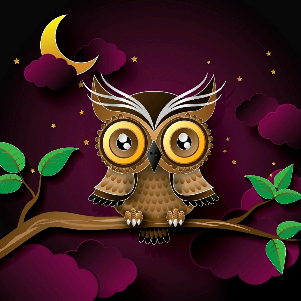 Meet your Posher, Cassie