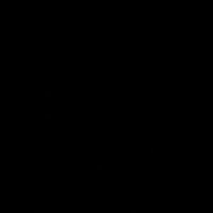 Meet your Posher, Adrian