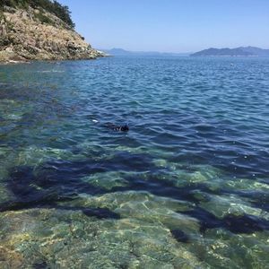 Meet your Posher, Sung sun