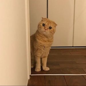 Meet your Posher, William