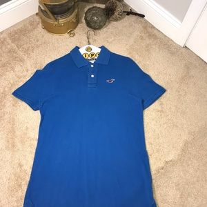 Hollister Polo Shirt