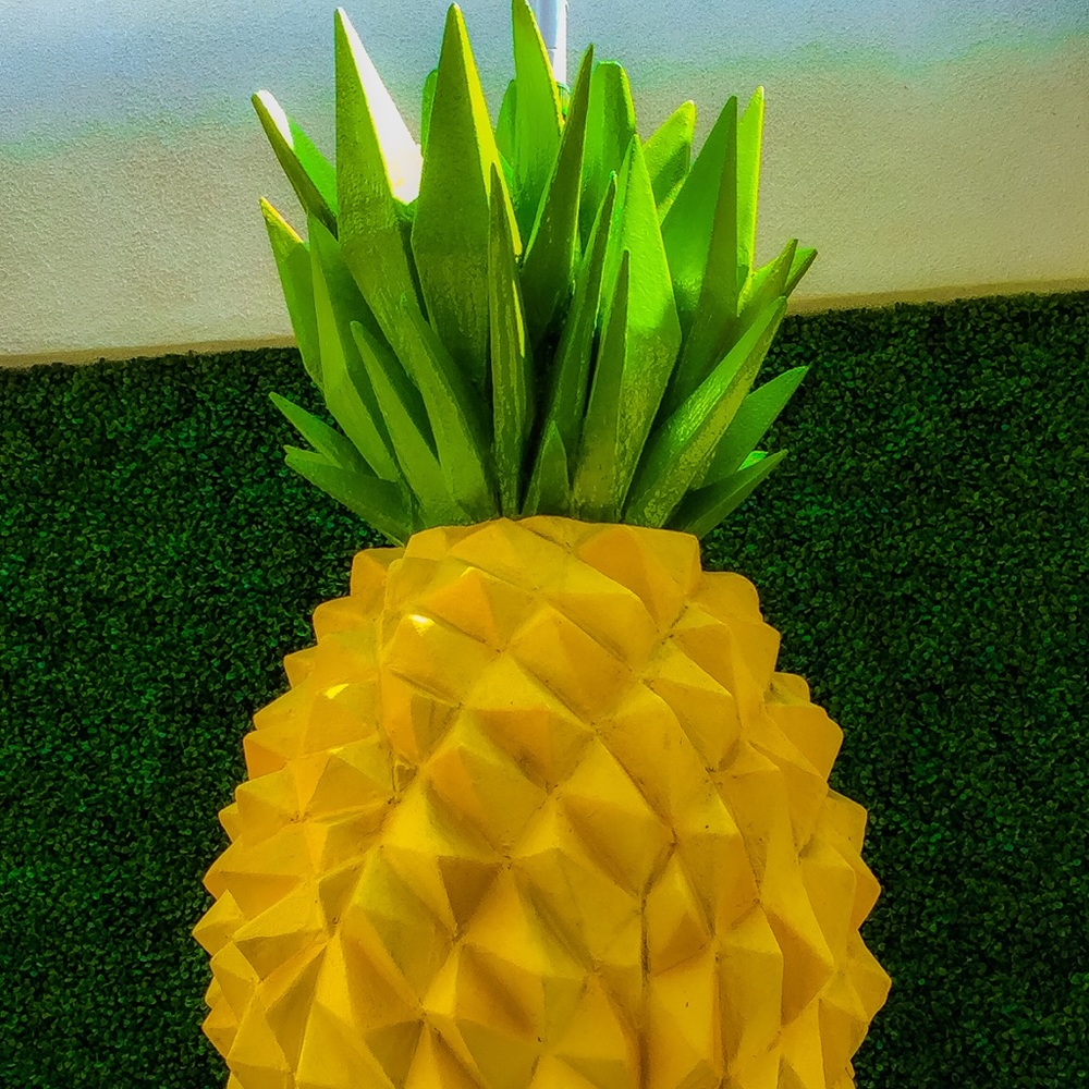 Meet your Posher, Melanie