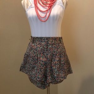 Corey Lynn Calter Multi Color Shorts.