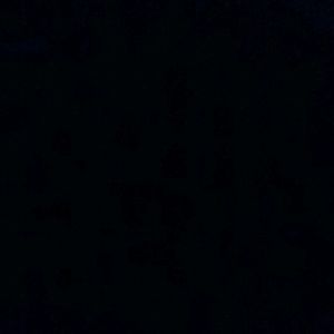 Meet your Posher, Julian