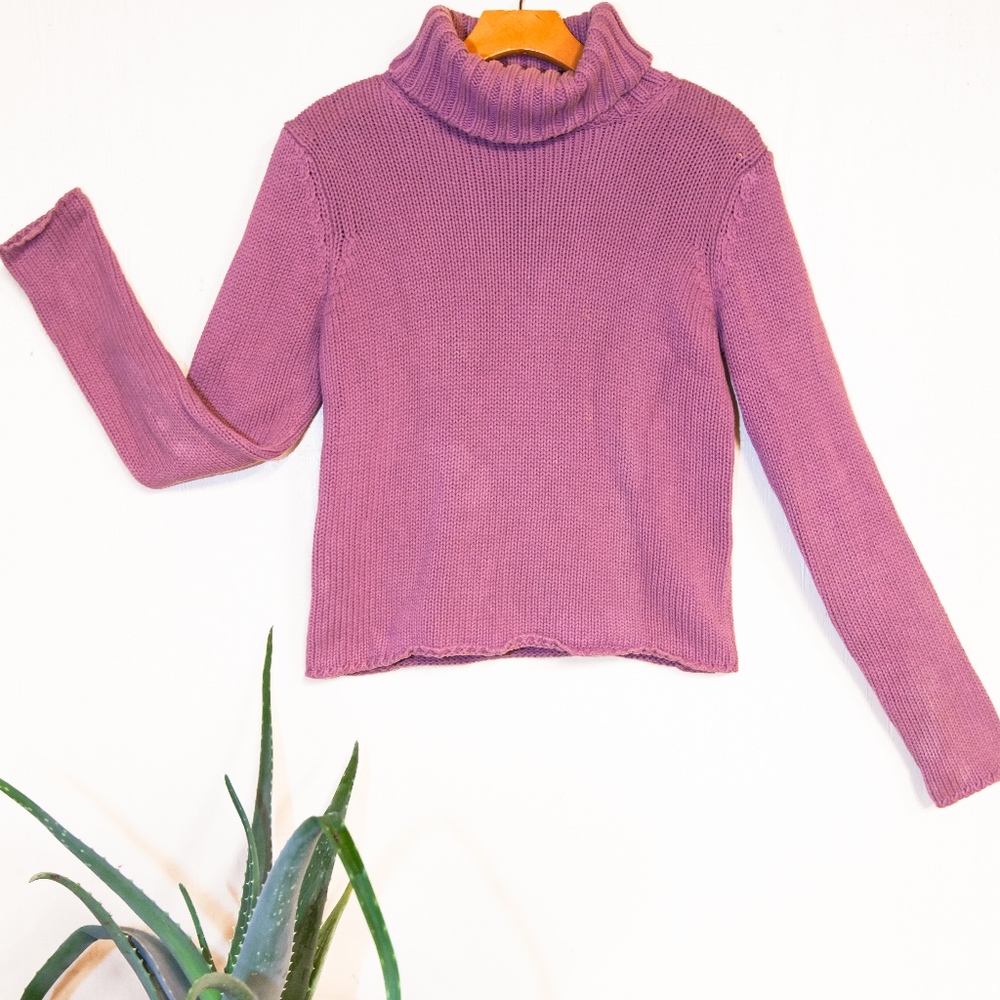 Banana Republic Knit Turtleneck Sweater