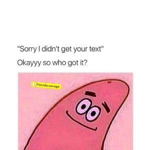 Meet your Posher, Oscar