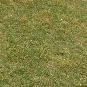 Meet your Posher, Philip