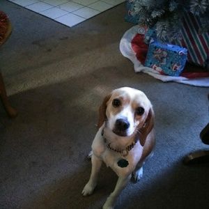 Meet your Posher, April