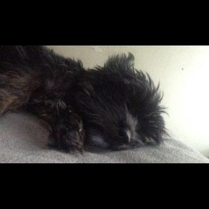 Meet your Posher, Doran