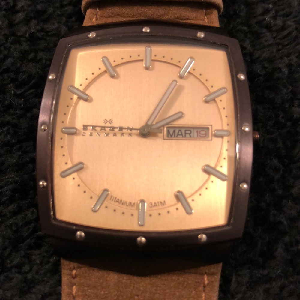 Skägen Men’s Watch