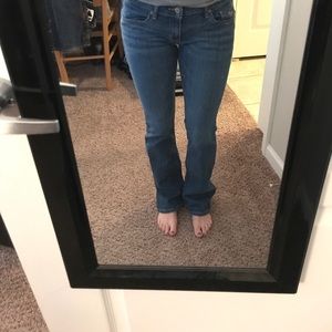 Hollister 3 short bootcut jeans . Venice boot