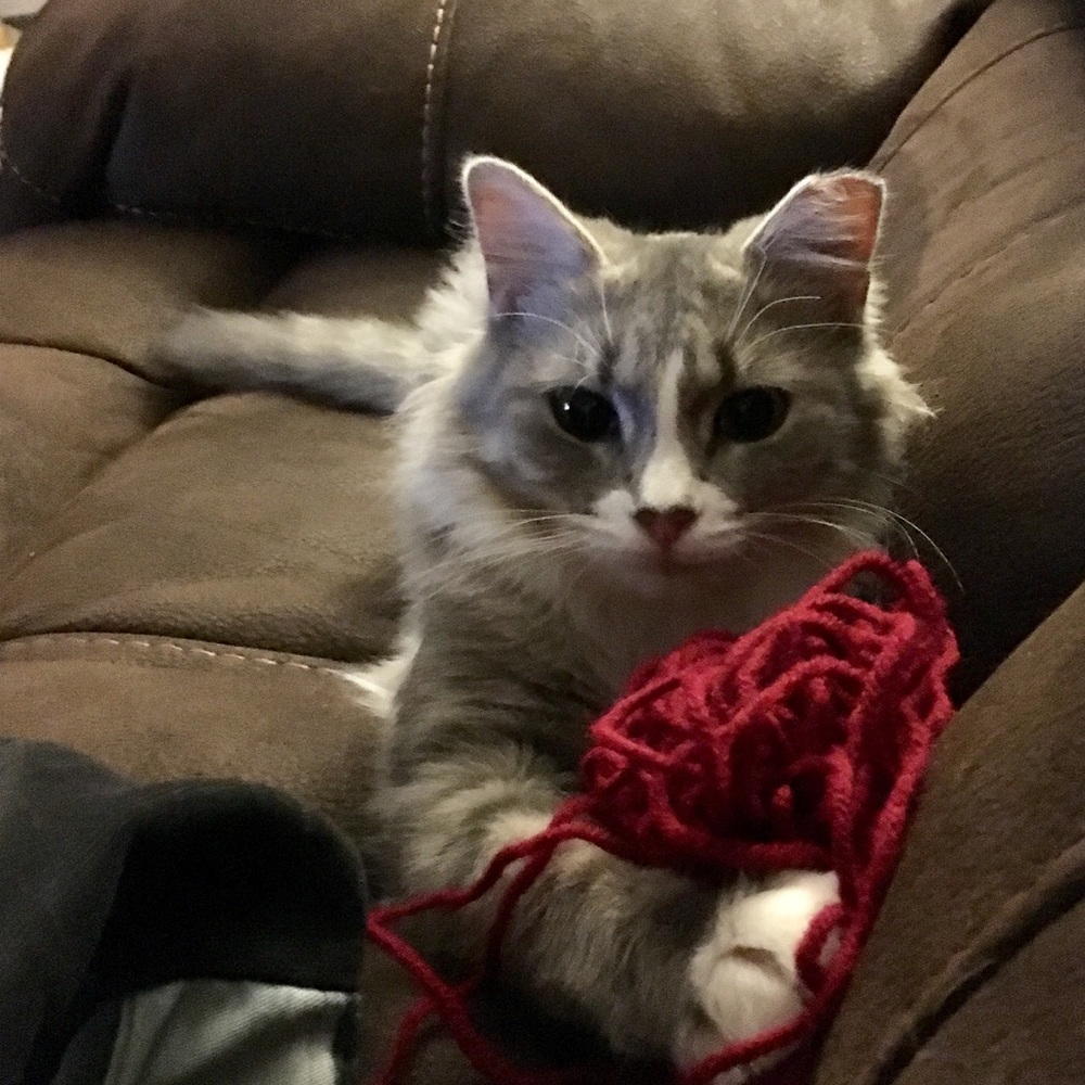 Meet your Posher, Tiffany