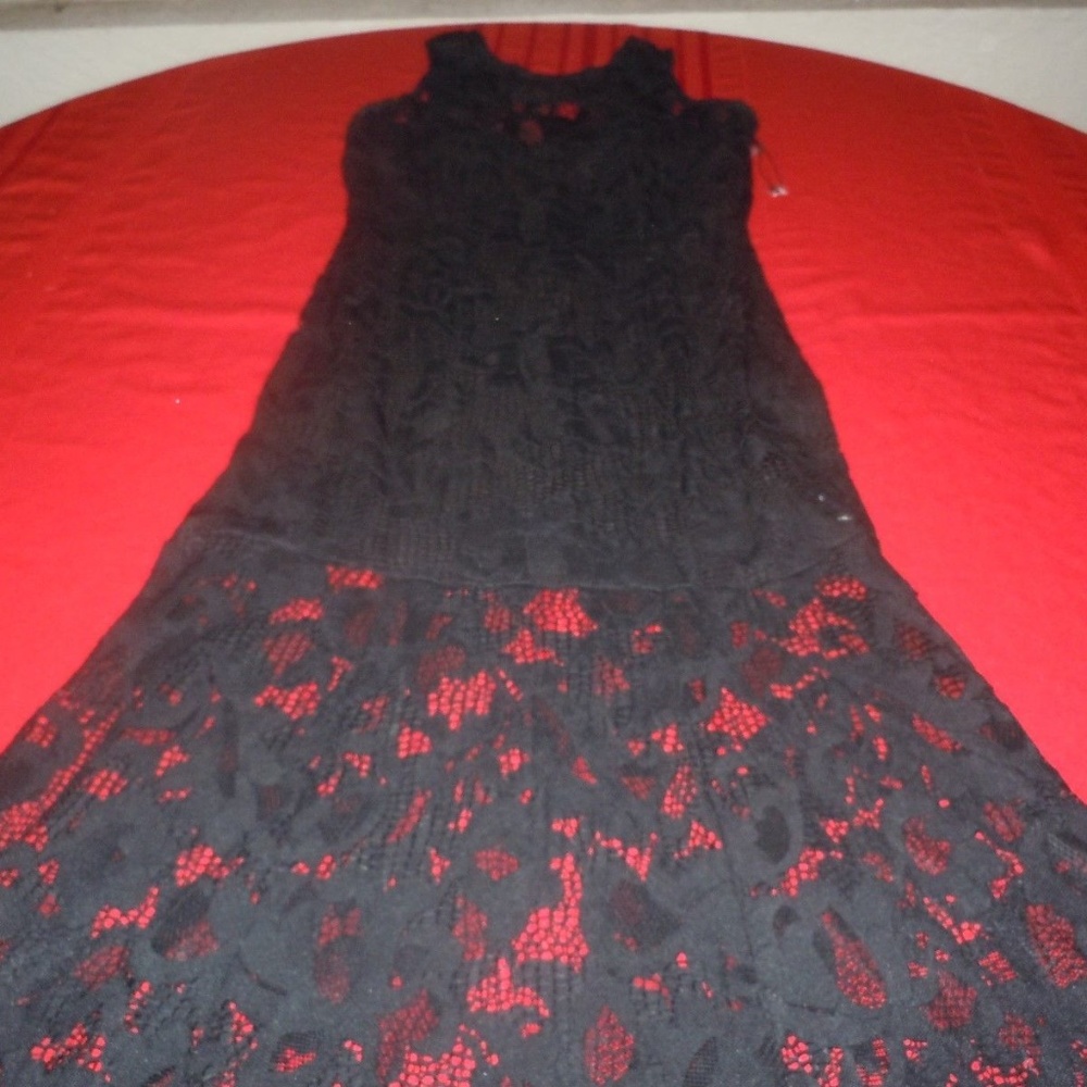 ISSUE N.Y Lace Maxi Dress!!  Large