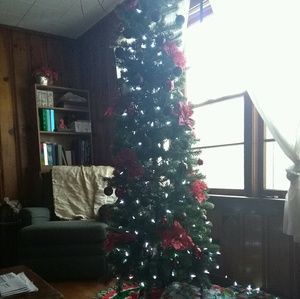 Meet your Posher, Katlin