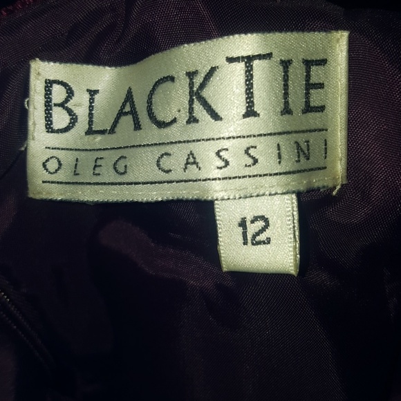 Eloquent Oleg Cassini Black Tie Dinner Party Dress - Picture 5 of 5