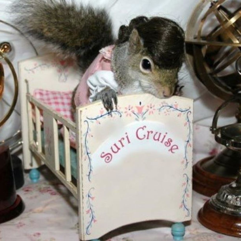 Meet your Posher, Kiah