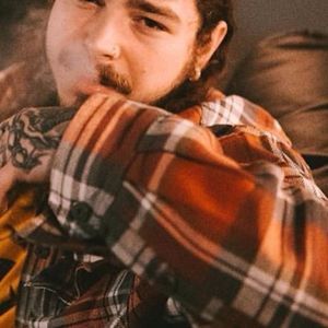 Meet your Posher, Susie