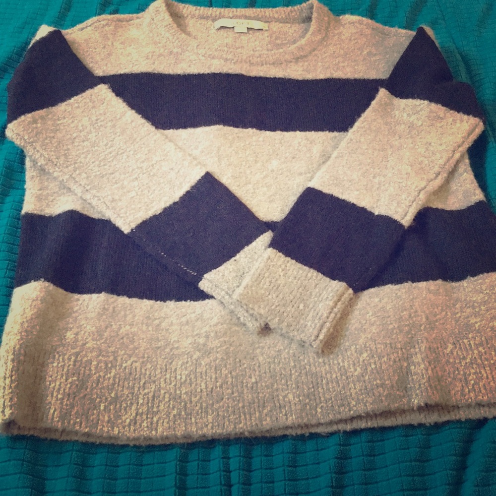 Ann Taylor Loft sweater