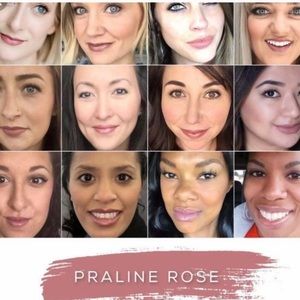 Lipsense Praline Rose starter kit