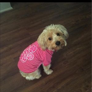 Meet your Posher, Sonia