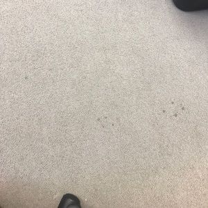 Meet your Posher, Jaleel