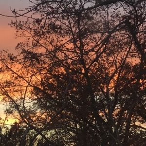 Meet your Posher, Meg