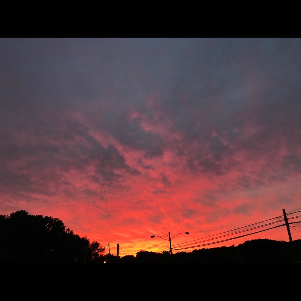 Meet your Posher, cassie