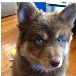 Meet your Posher, Marina