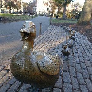 Meet your Posher, Ching