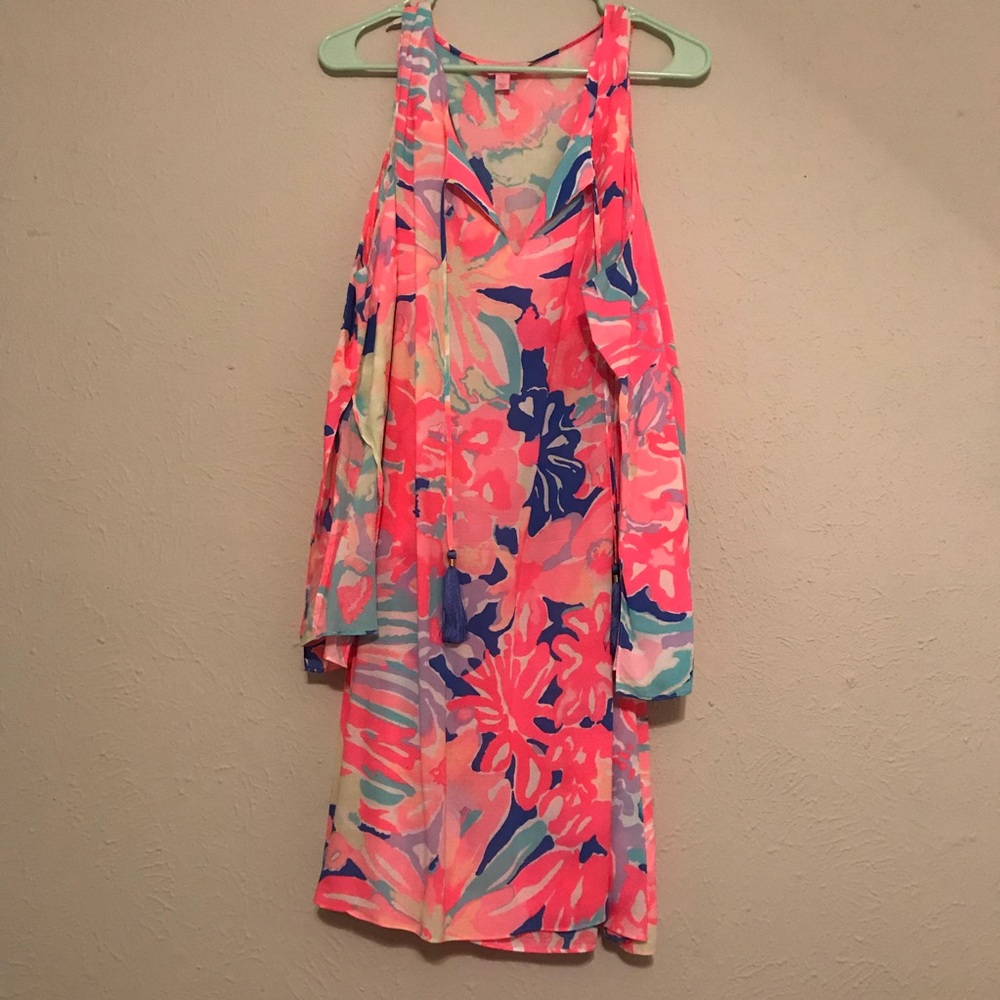 Benicia tunic dress