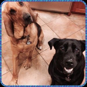 Meet your Posher, Elizabeth