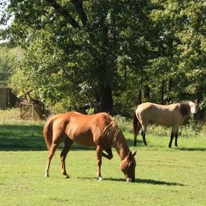 Meet your Posher, Denise