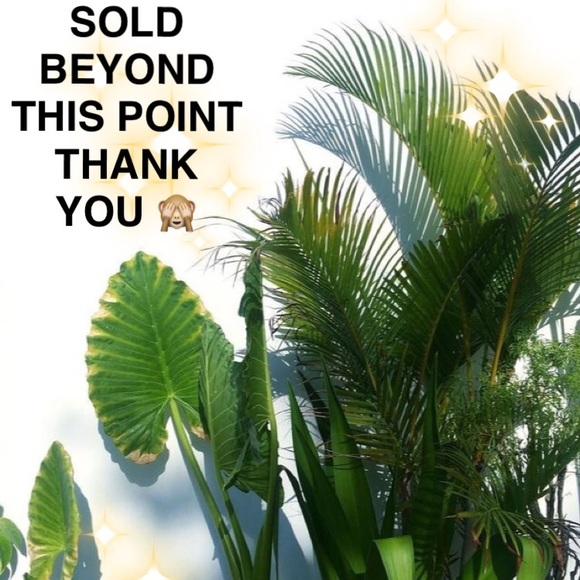 • SOLD 🌟 YOU GUYS ROCK - Picture 2 of 2