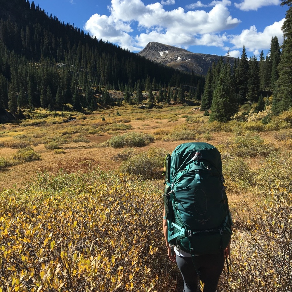 Meet your Posher, Lauren