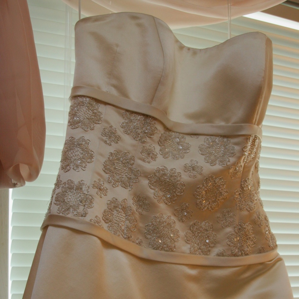 Anne Barge 100% French Silk Wedding Dress