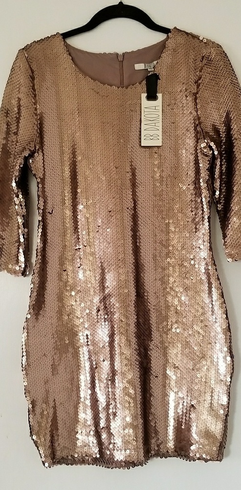 Brand New w/tags BB Dakota Sequin Dress - Picture 4 of 6