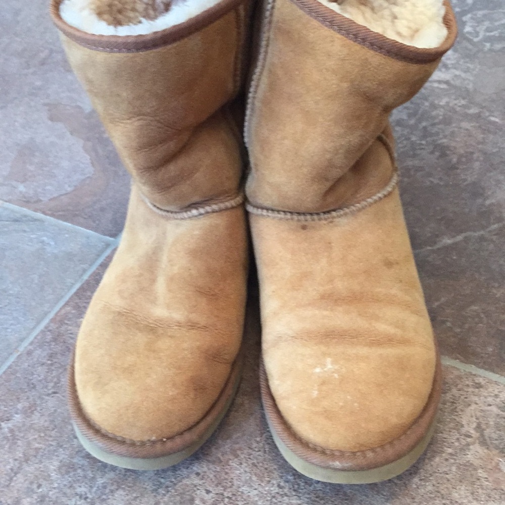 Original short Ugg boots