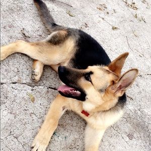 Meet your Posher, Luis