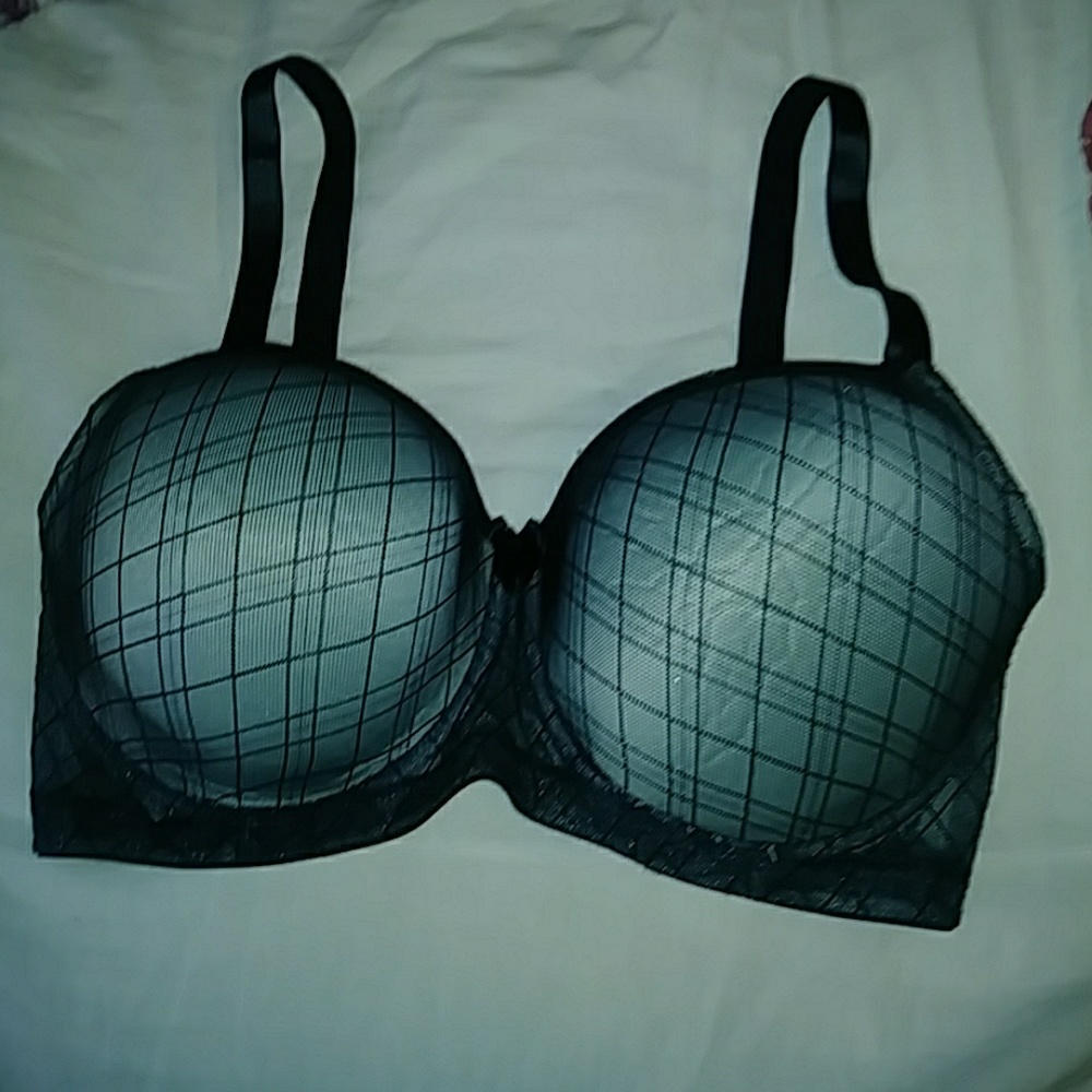 Paramour bra