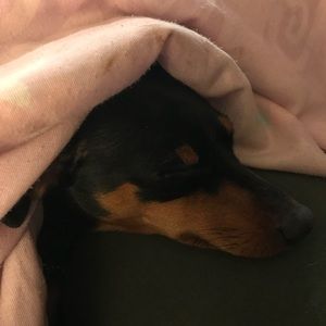 Meet your Posher, Melanie