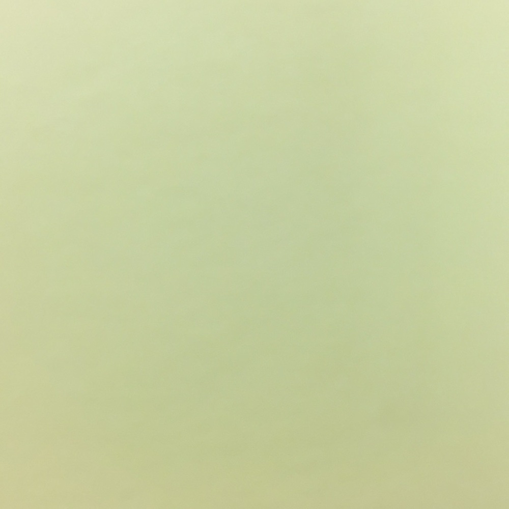 Meet your Posher, Yanelys