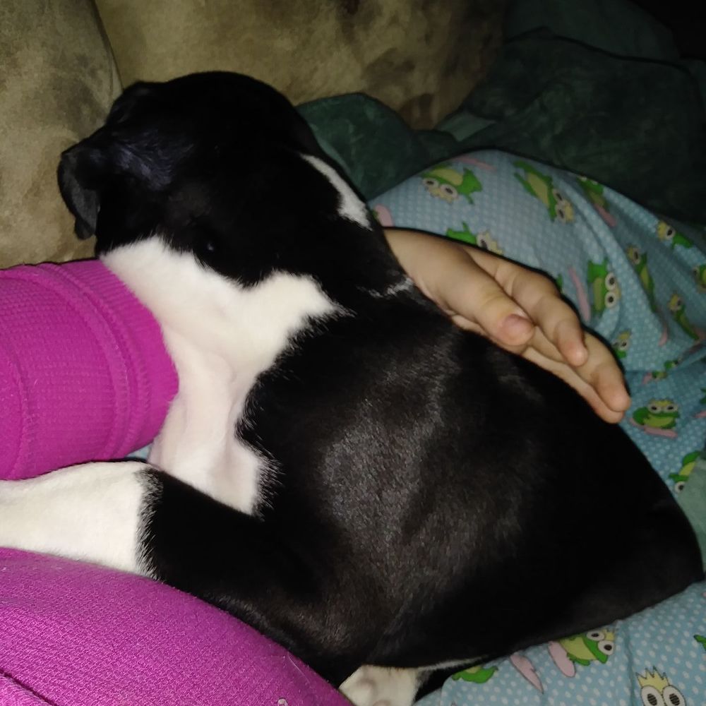 Meet your Posher, Haylee