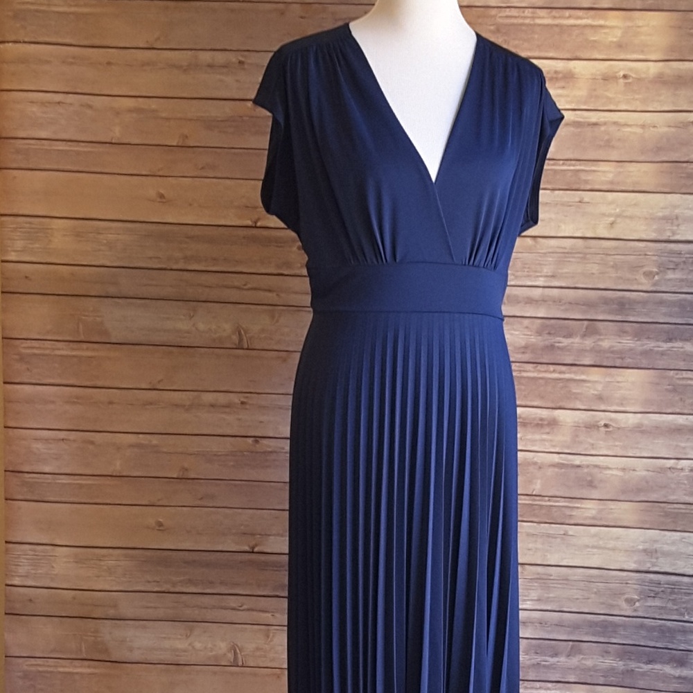 Beautiful Navy NWT Dress 1X