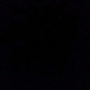 Meet your Posher, Luis